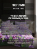 Лилизари 2