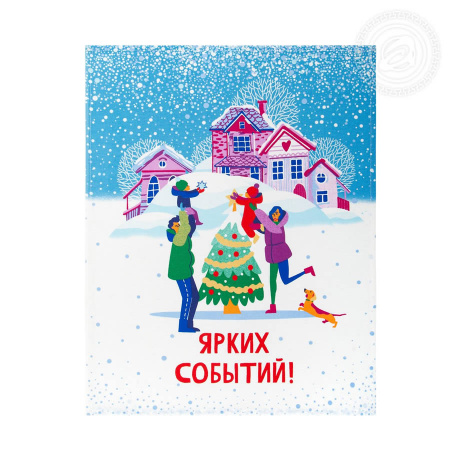Полотенце из рогожки 45 х 60 - М - Зимние каникулы 1 (красн)